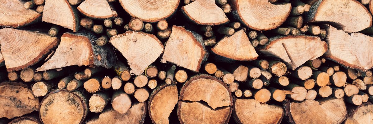 Ship logs to Logstash with Lumberjack / Logstash Forwarder